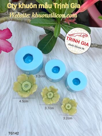 Khuôn silicone Set hoa Đồng Tiền TG142