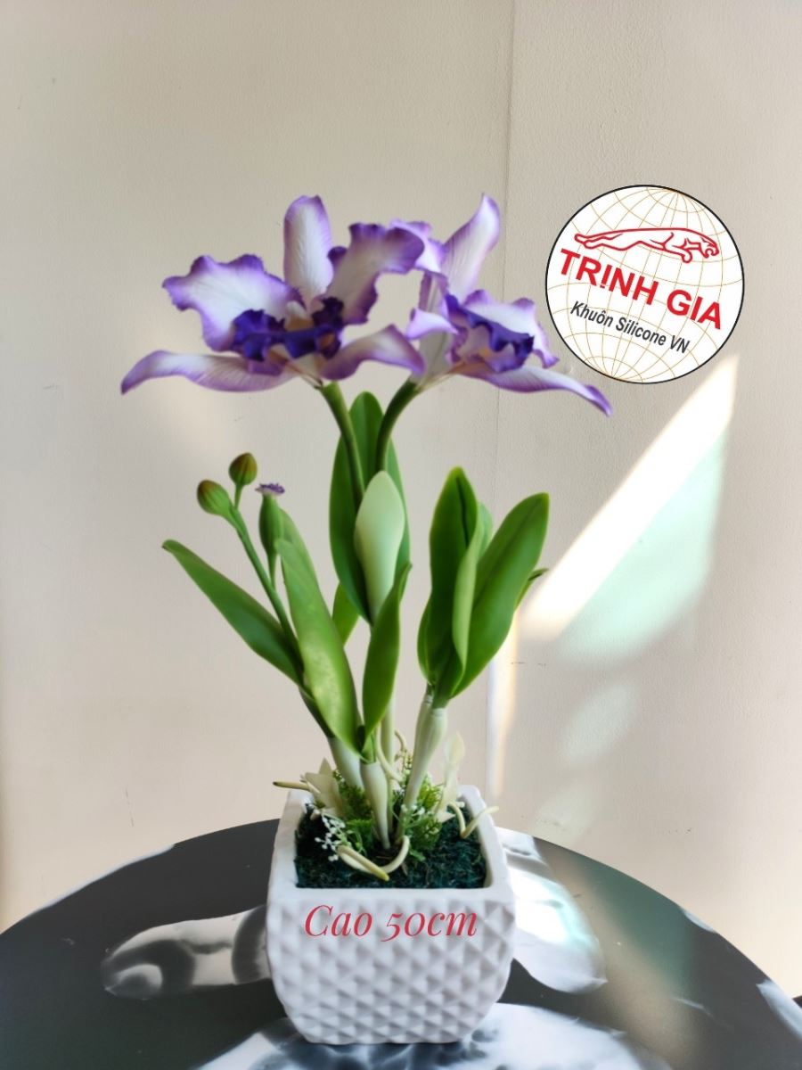 Hoa đất sét Cattleya 2 hoa